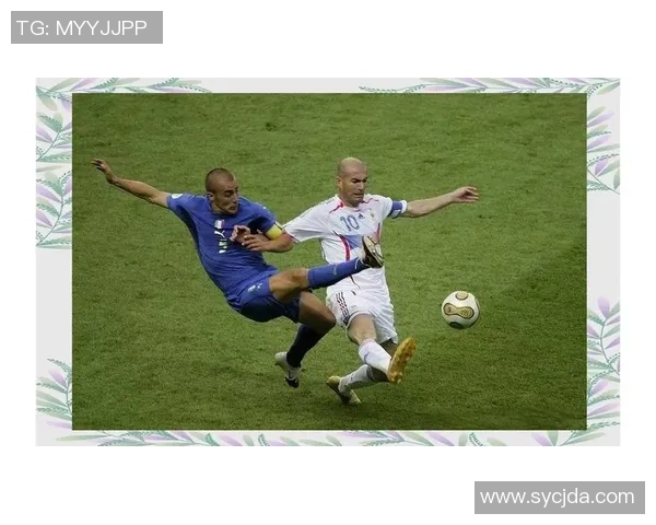 法国花样足球明星的传奇之路与精彩瞬间回顾